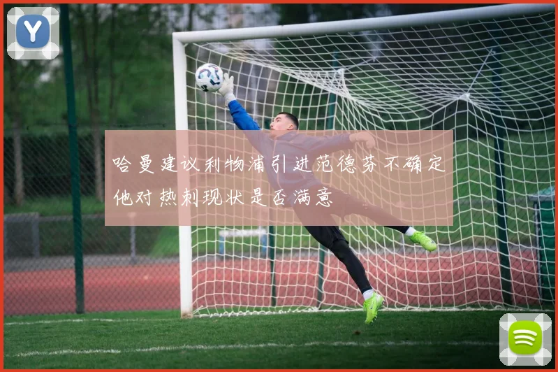 哈曼建议利物浦引进范德芬不确定他对热刺现状是否满意