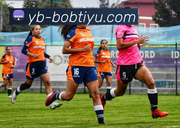 BOB体育平台生态图